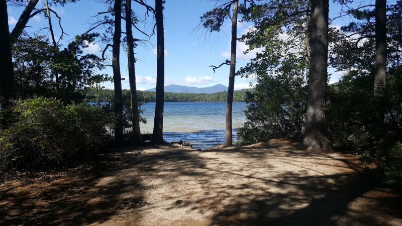White Lake State Park - Tamworth, NH
