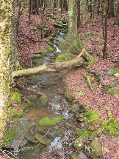 Huckleberry Trail - Tannersville, NY
