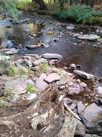Huckleberry Trail - Tannersville, NY