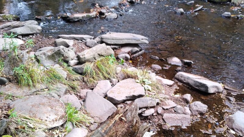 Huckleberry Trail - Tannersville, NY