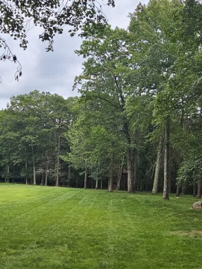 Mountain View Park - Tannersville, PA