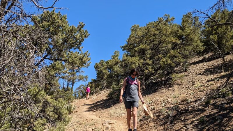 Devisadero Loop Trail 108 Trailhead - Taos, NM