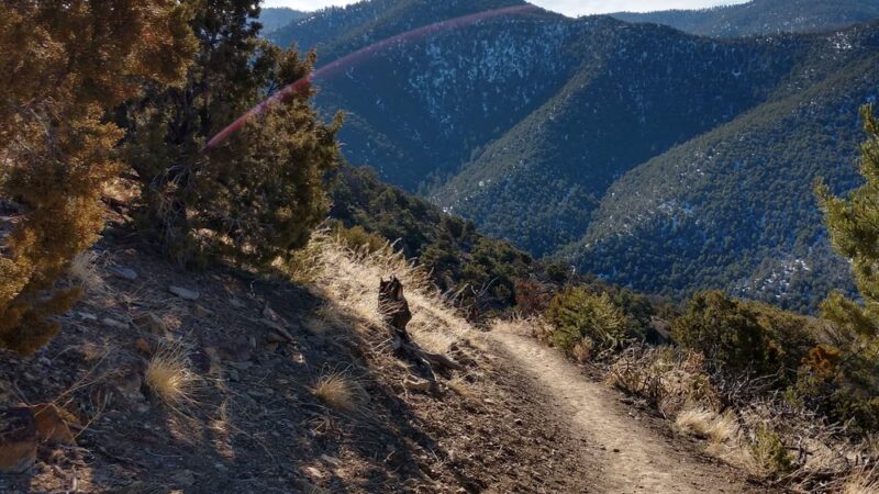 Devisadero Loop Trail 108 Trailhead - Taos, NM