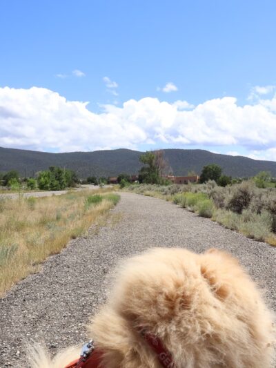 Dos Arroyos Walking Trail - Taos, NM