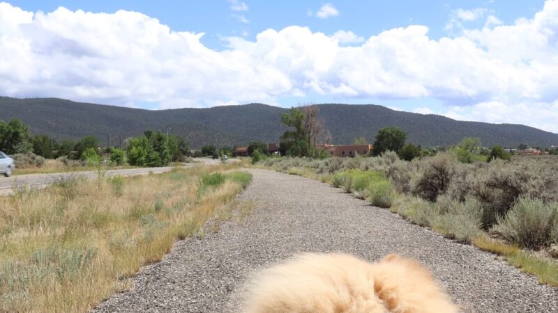 Dos Arroyos Walking Trail - Taos, NM