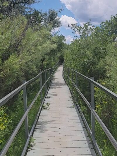 Fred Baca Park - Taos, NM