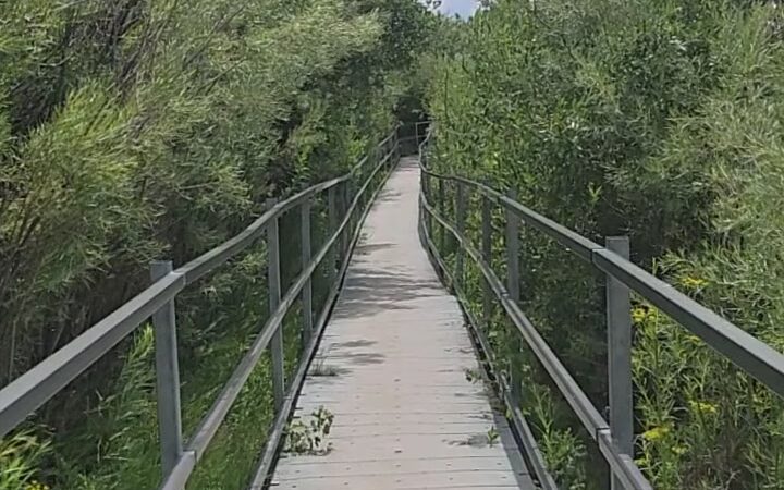 Fred Baca Park - Taos, NM