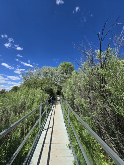 Fred Baca Park - Taos, NM