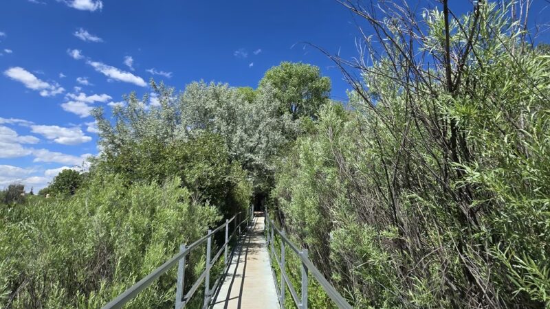 Fred Baca Park - Taos, NM