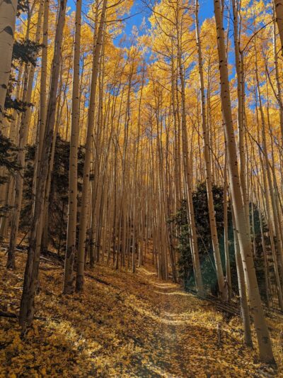 South Boundary Trail - Taos, NM