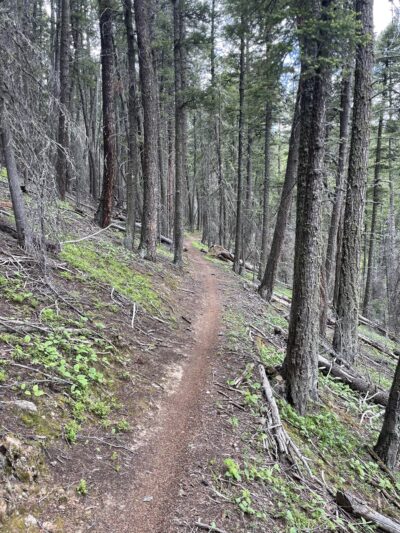 South Boundary Trail - Taos, NM