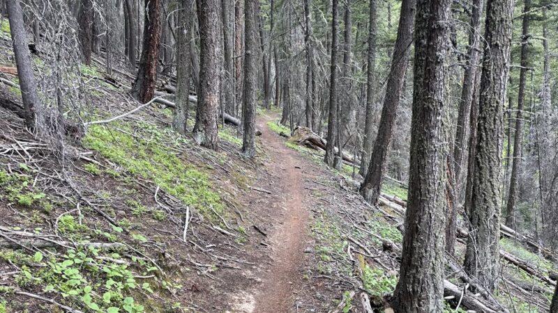 South Boundary Trail - Taos, NM