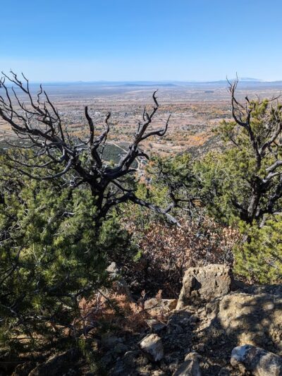 South Boundary Trail - Taos, NM