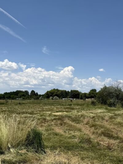 Sunset Park for walkers, dogs on leash - Taos, NM