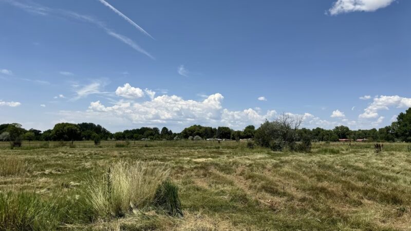 Sunset Park for walkers, dogs on leash - Taos, NM