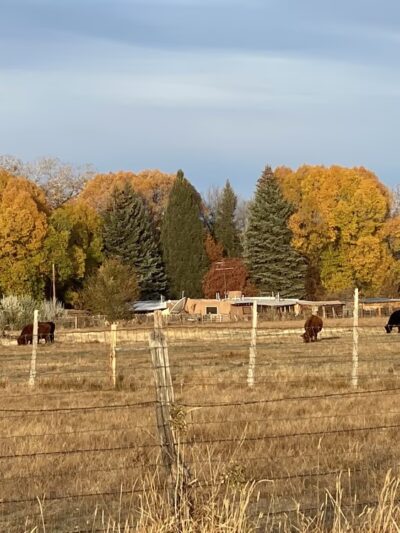 Sunset Park for walkers, dogs on leash - Taos, NM