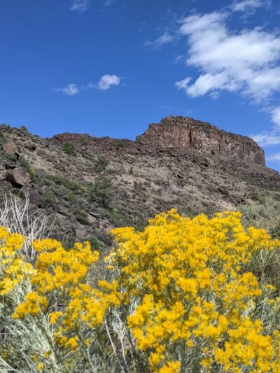 The Slide Trail - Lower Trailhead - Taos, NM