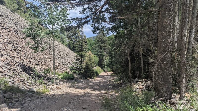Columbine-Hondo Wilderness - Taos Ski Valley, NM