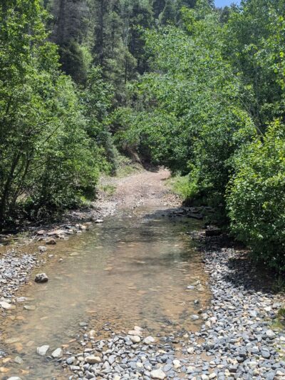 Columbine-Hondo Wilderness - Taos Ski Valley, NM