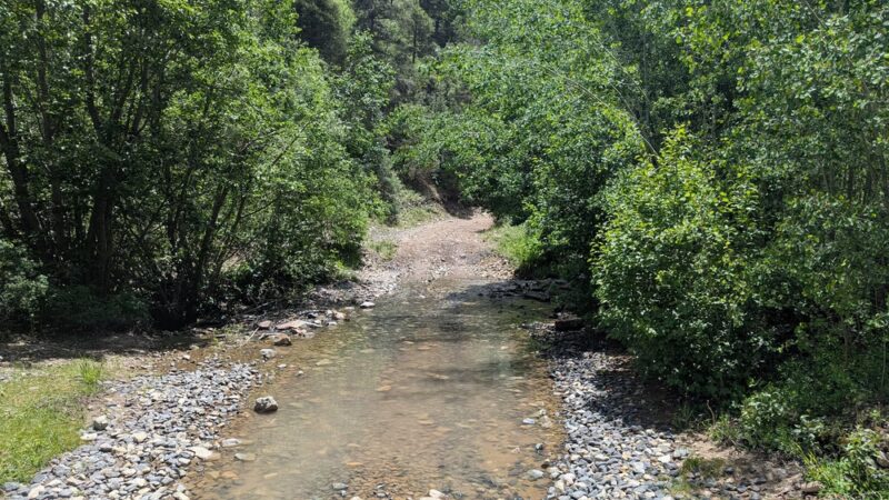 Columbine-Hondo Wilderness - Taos Ski Valley, NM
