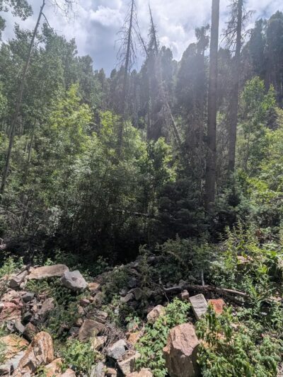 Columbine-Hondo Wilderness - Taos Ski Valley, NM