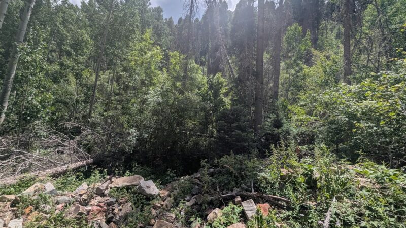 Columbine-Hondo Wilderness - Taos Ski Valley, NM