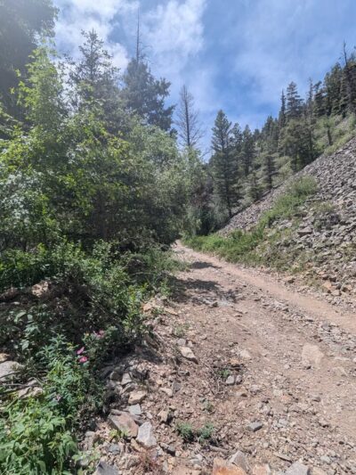 Columbine-Hondo Wilderness - Taos Ski Valley, NM