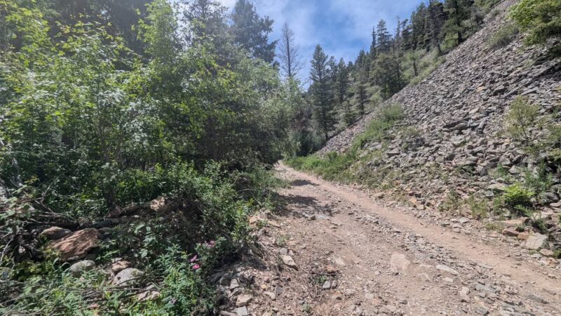 Columbine-Hondo Wilderness - Taos Ski Valley, NM