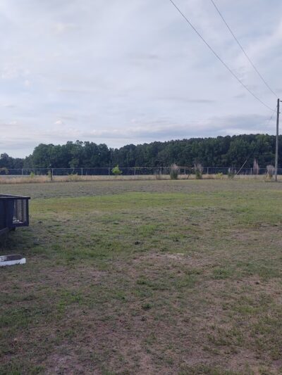 Clark Park - Tarboro, NC