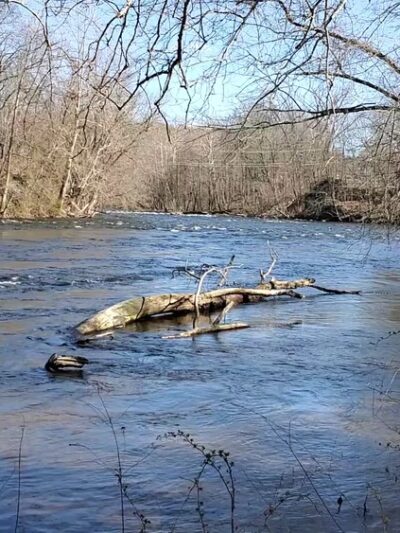 Tariffville Park - Tariffville, CT