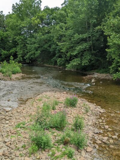 Tatamy Trail - Tatamy, PA