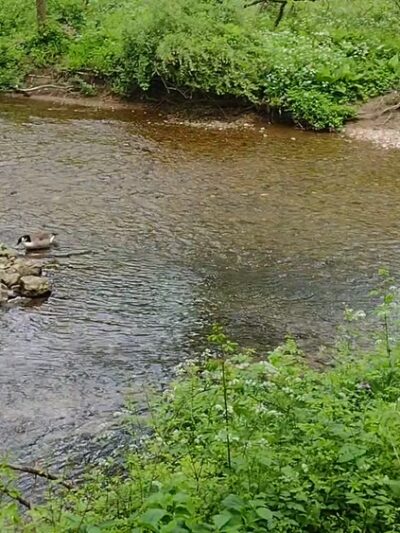 Tatamy Trail - Tatamy, PA