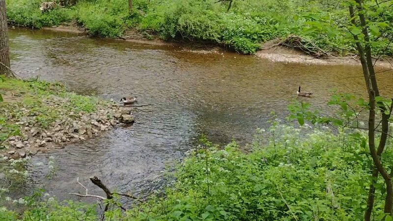 Tatamy Trail - Tatamy, PA