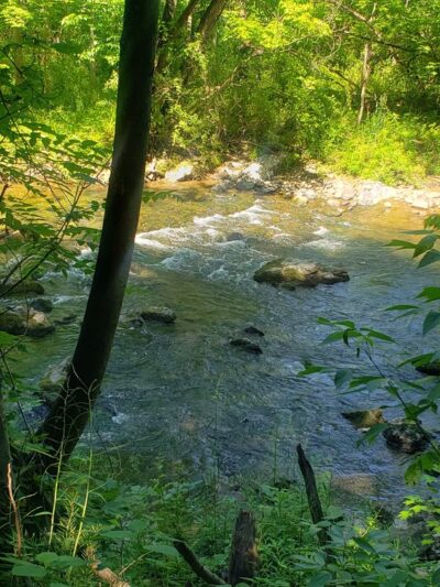 Tatamy Trail - Tatamy, PA