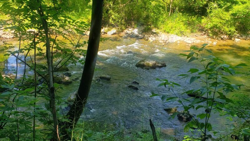 Tatamy Trail - Tatamy, PA