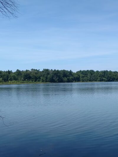 Watson Pond - Taunton, MA