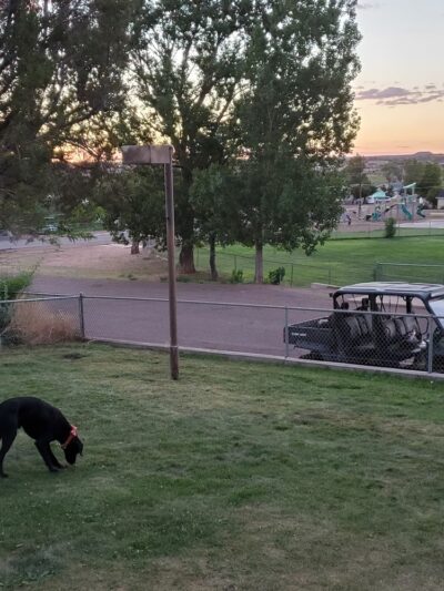 Taylor Park - Taylor, AZ