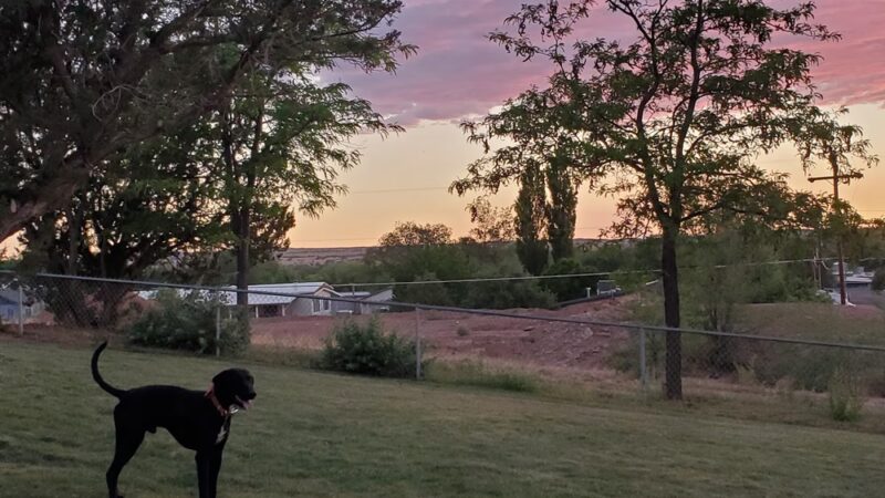 Taylor Park - Taylor, AZ