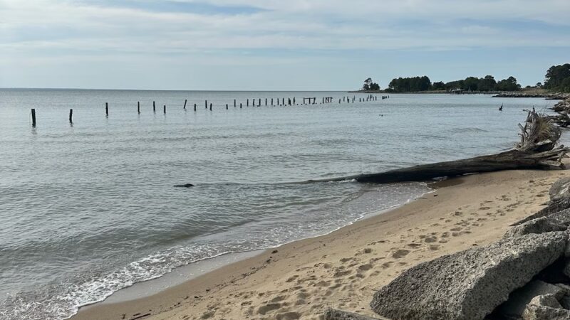 Taylors Island Family Campgrounds - Taylors Island, MD