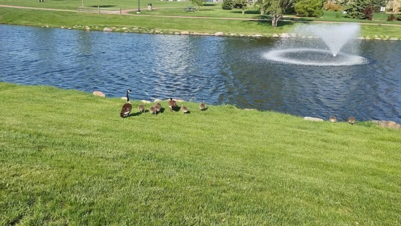 Tea City Park - Tea, SD