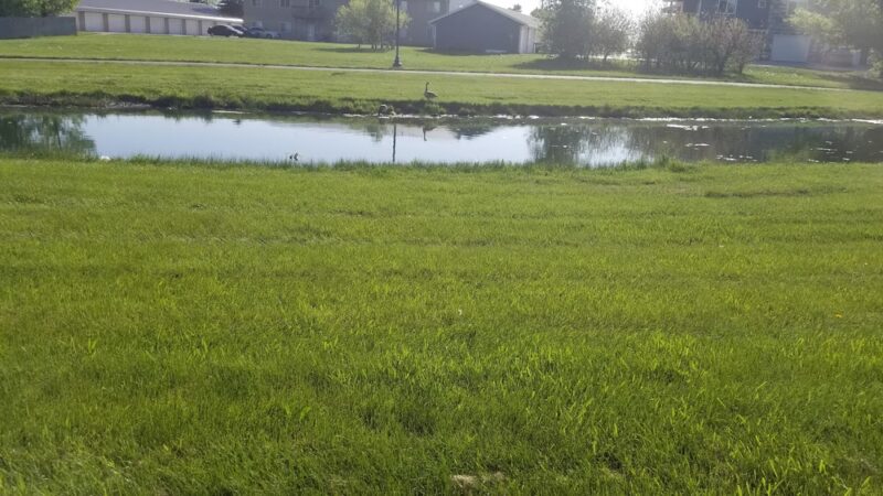 Tea City Park - Tea, SD