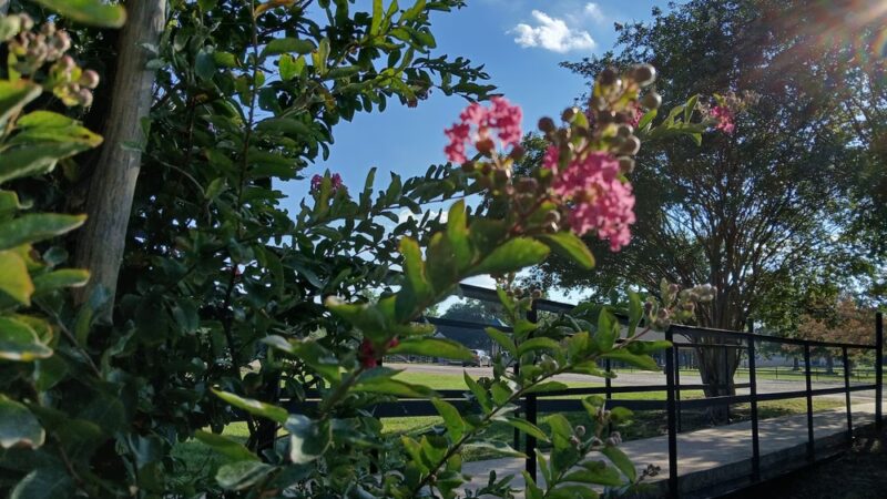Teague City Park - Teague, TX
