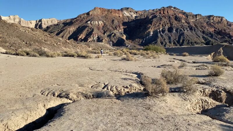 China Ranch Trail: Trail-head, Parking & Picnic Area - Tecopa, CA