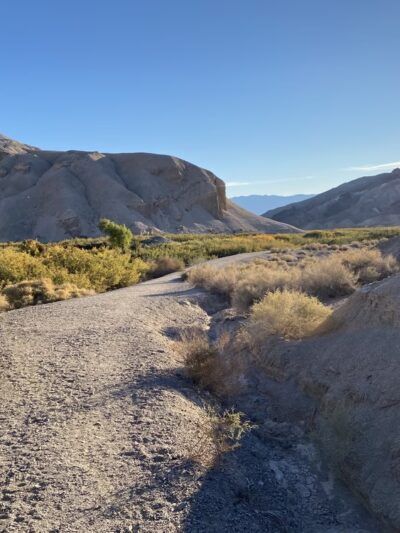 China Ranch Trail: Trail-head, Parking & Picnic Area - Tecopa, CA