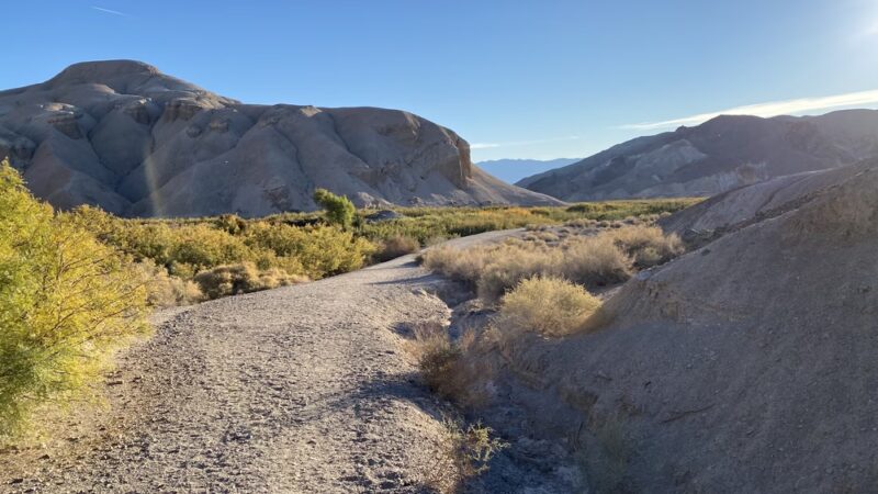 China Ranch Trail: Trail-head, Parking & Picnic Area - Tecopa, CA