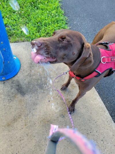 Centennial Park - Telford, PA