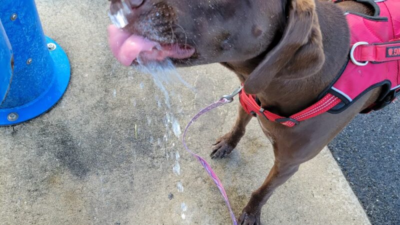 Centennial Park - Telford, PA