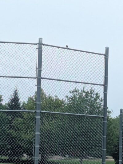 Telford Municipal Park - Telford, PA