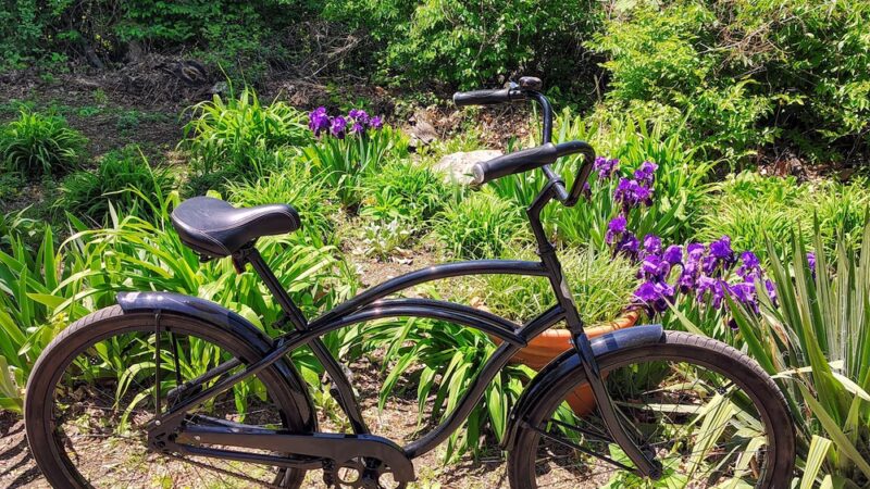 Muhlenberg Rail Trail - Temple, PA