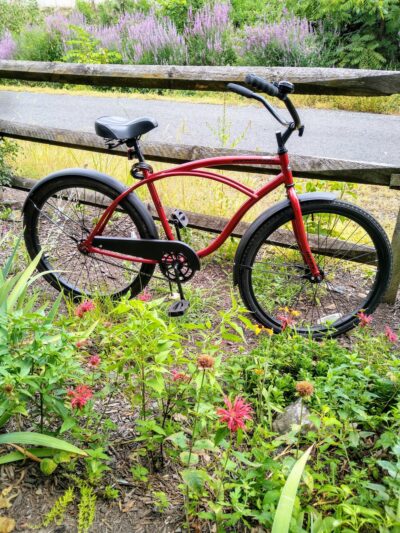 Muhlenberg Rail Trail - Temple, PA